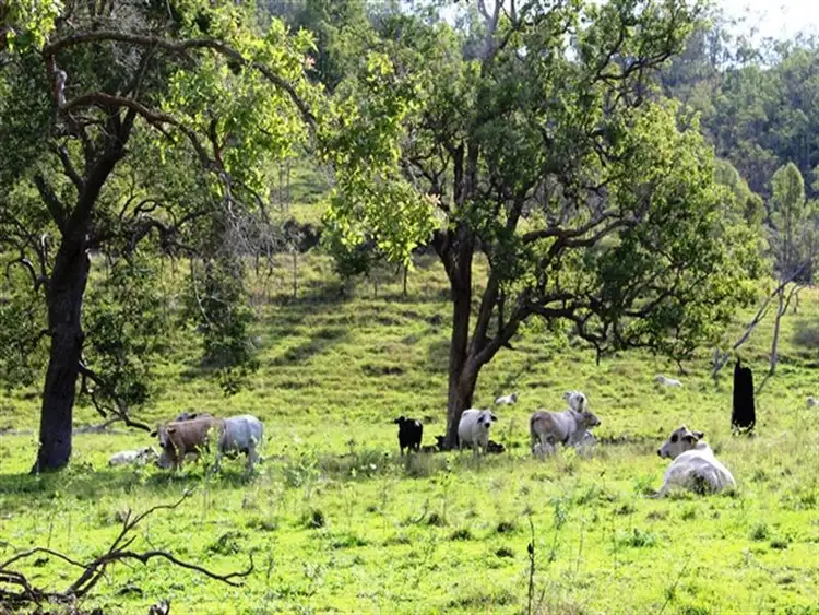 Seventh view of Homely rural property listing, Lot1 Gregors Ck Road, Toogoolawah QLD 4313