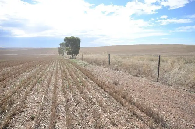 Third view of Homely rural property listing, Lot 446 Carmody Road, Leighton SA 5417