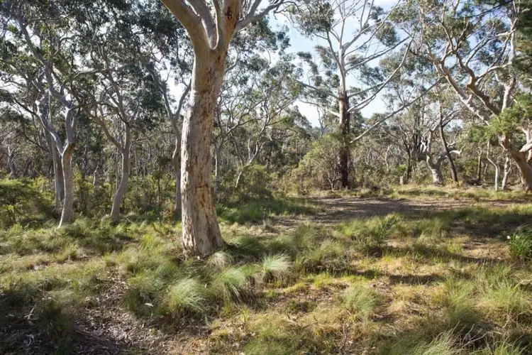 Second view of Homely land listing, Block 13 Lot 1 DP736193 + Lot 166+167 DP16449 - Godson Avenue, Blackheath NSW 2785