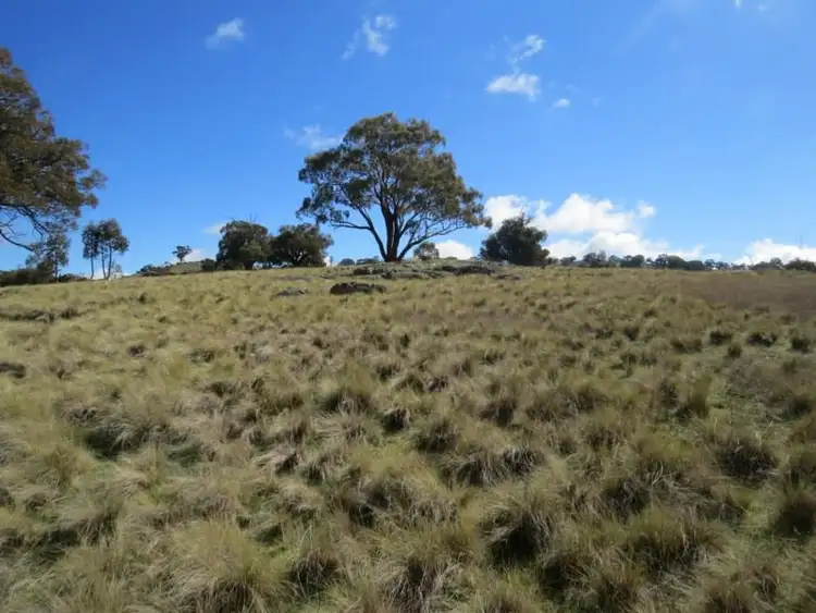 Sixth view of Homely rural property listing, Lot 104 Clements Road, Woodstock NSW 2793