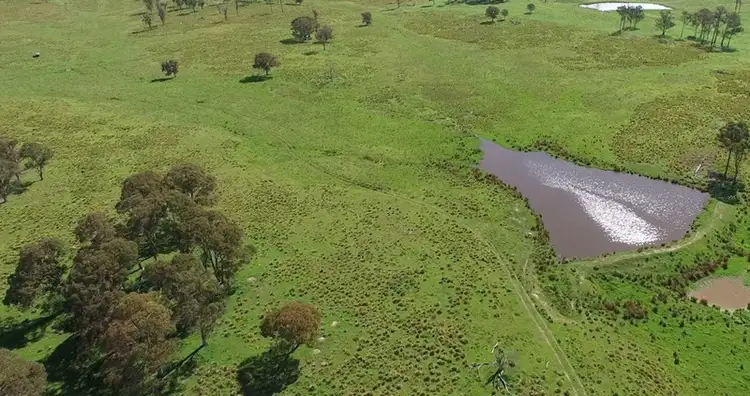 Third view of Homely rural property listing, 161 "Forest Lodge", Hickey's Road, Wongwibinda NSW 2350