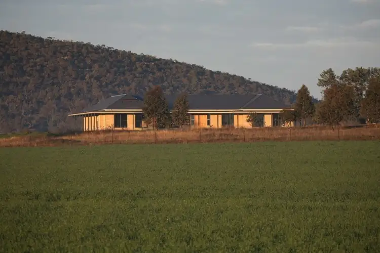 Fourth view of Homely rural property listing, "Nirvana" Pinnacle Road, Forbes NSW 2871