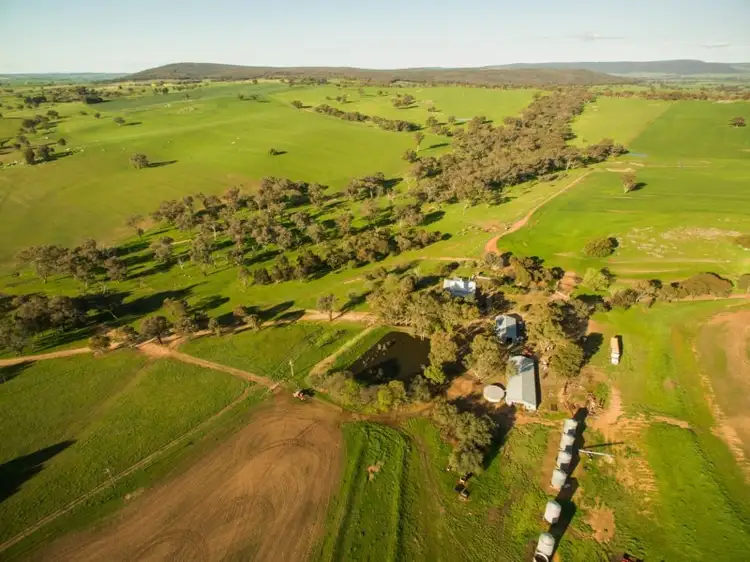 919 Iandra Road, Greenethorpe NSW 2809