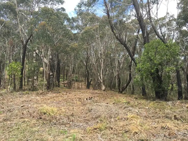 Main view of Homely land listing, 159-163 Grand Canyon Road, Medlow Bath NSW 2780