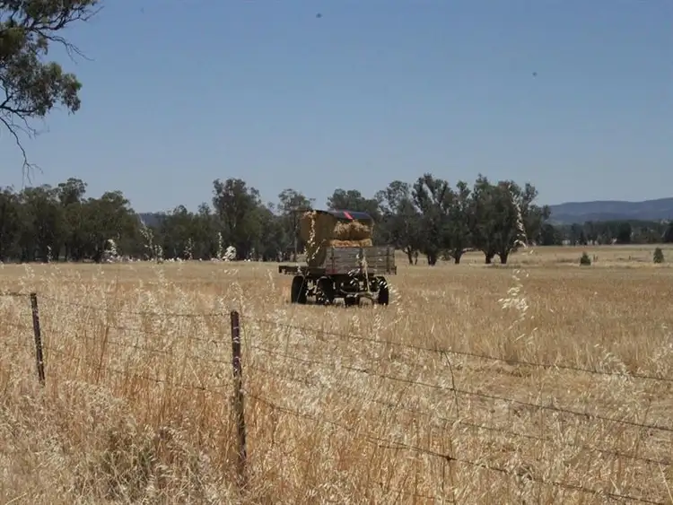 Second view of Homely rural property listing, 10 Eulimore Road, Eugowra NSW 2806