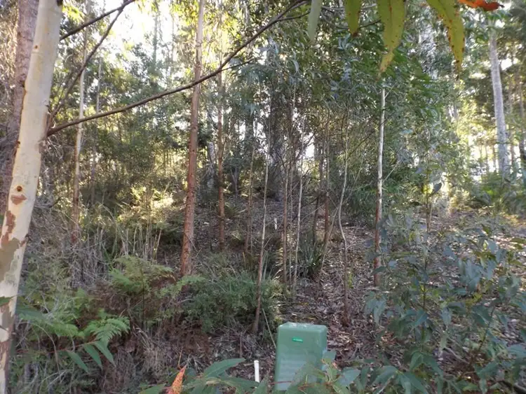 Fourth view of Homely land listing, 62 Litchfield Crescent, Long Beach NSW 2536