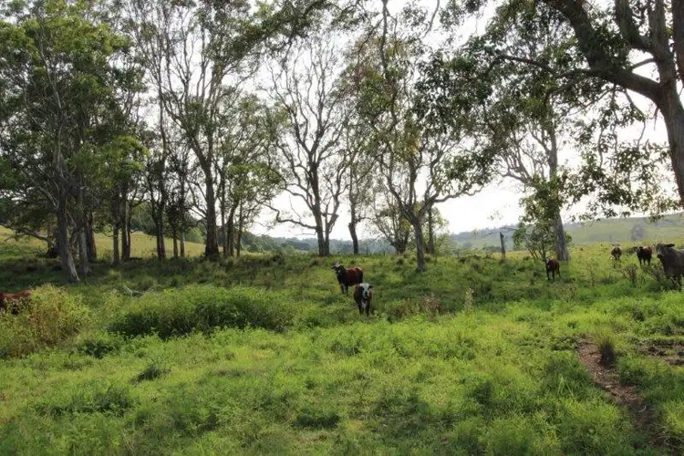 Third view of Homely land listing, 170A Lagoon Grass Road, Lismore NSW 2480