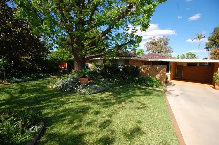 Main view of Homely house listing, 41 Blumer Avenue, Griffith NSW 2680