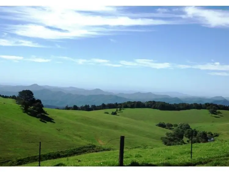 Fifth view of Homely rural property listing, 5287 Waterfall Way, Dorrigo NSW 2453