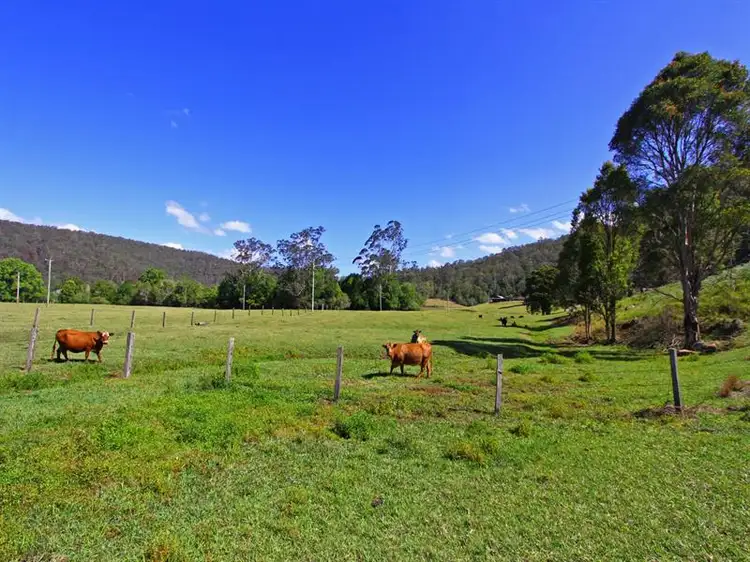 Third view of Homely rural property listing, 58 Priests Ridge Road, Yarramalong NSW 2259