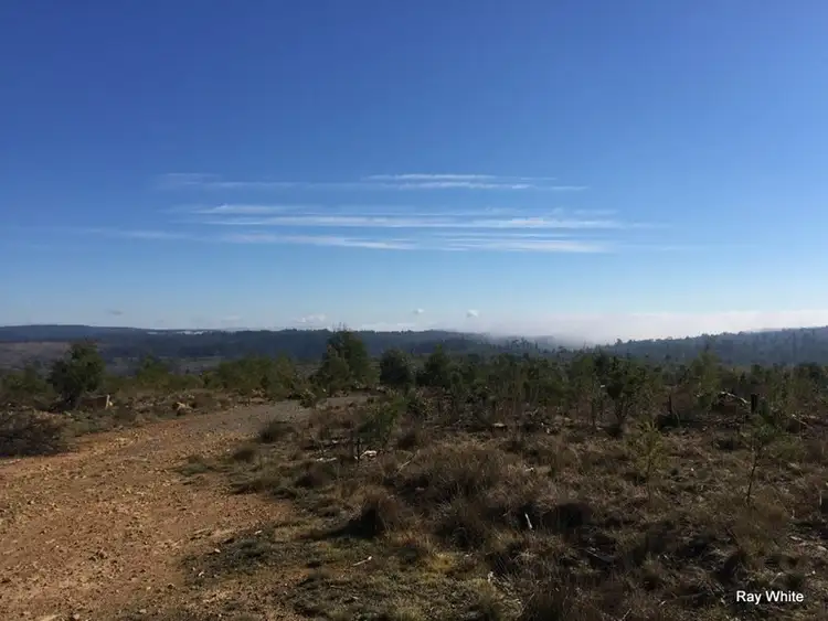 Second view of Homely rural property listing, 779 Back Creek, Braidwood NSW 2622