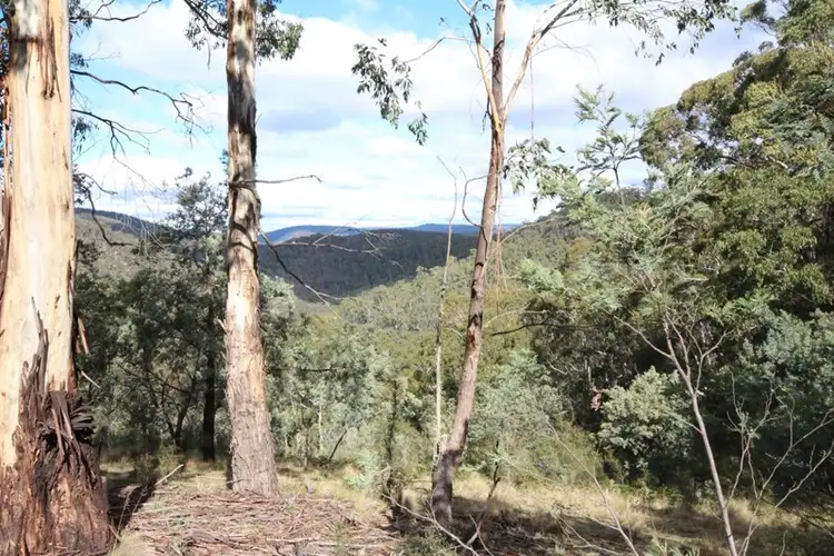 Fifth view of Homely rural property listing, 381 Sheepstation Forest Road, Oberon NSW 2787