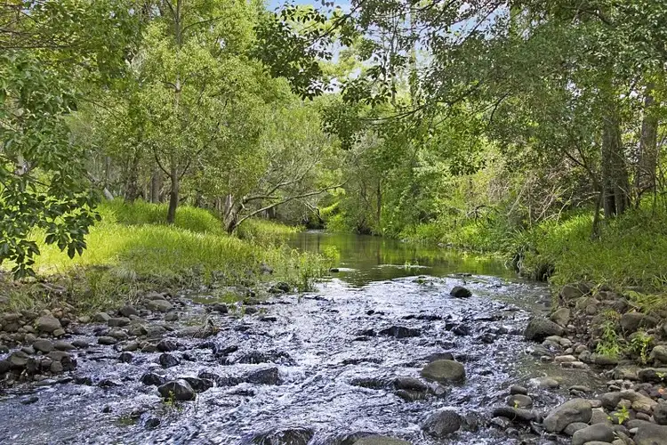 Sixth view of Homely rural property listing, 492 Brays Creek Road, Tyalgum NSW 2484