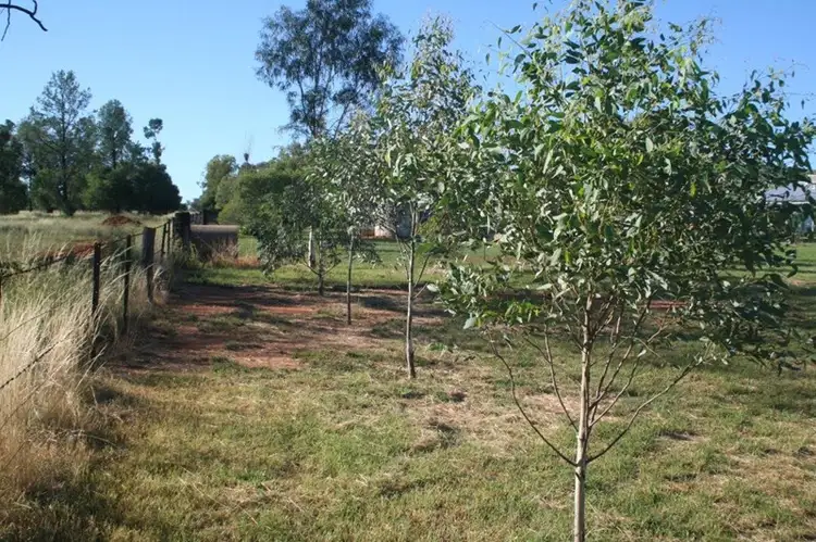 Fifth view of Homely land listing, L3 Narrabri Road, Bingara NSW 2404