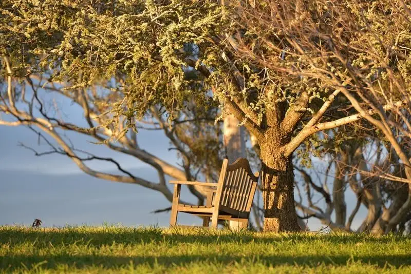 Main view of Homely rural property listing, 37 Curtin Road, Borenore NSW 2800