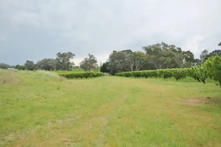 Third view of Homely land listing, 189 Jasprizza Lane, Young NSW 2594
