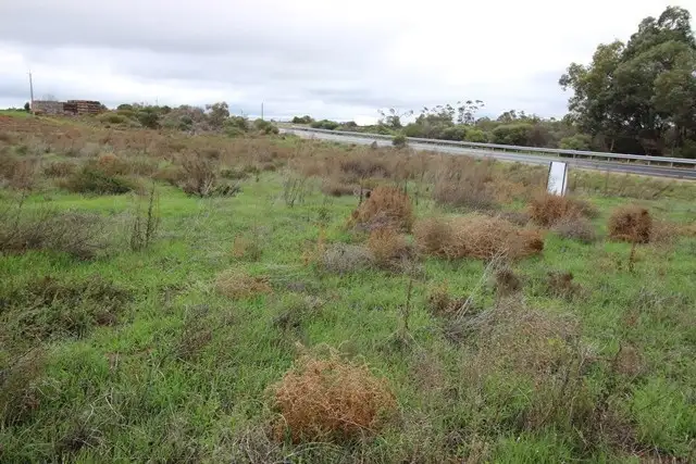 Lot 4 Waikerie Cadell Road, Waikerie SA 5330