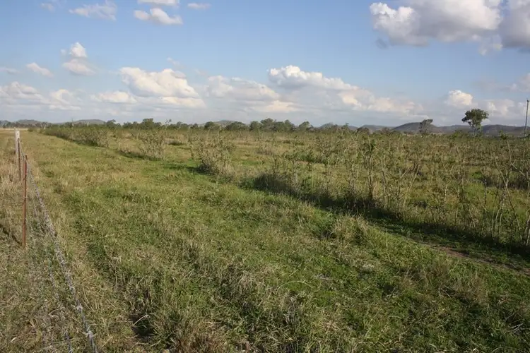 Fourth view of Homely rural property listing, "Washpool" Washpool Road, Gayndah QLD 4625