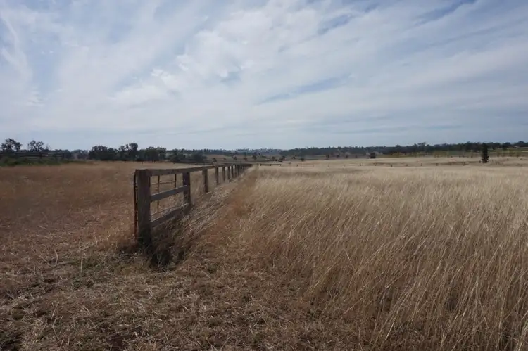 Seventh view of Homely rural property listing, 'Cotton Wood Park' 1288 Umbiram Road, Umbiram QLD 4352