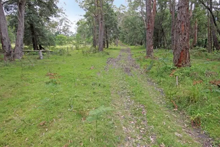 Second view of Homely rural property listing, 317B Little Forest Road, Little Forest NSW 2538