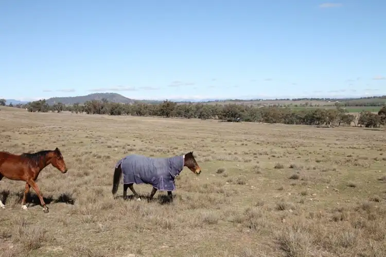 Fourth view of Homely rural property listing, 1820 Kamilaroi Highway, Quirindi NSW 2343