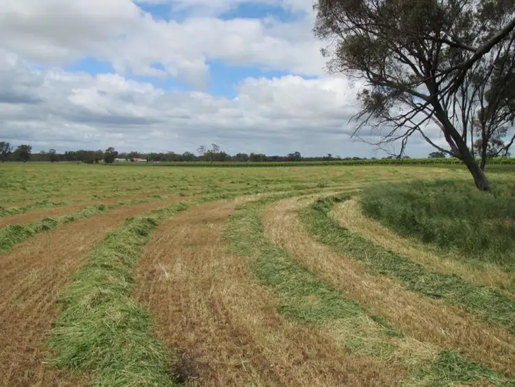 Seventh view of Homely rural property listing, 50 The Mile Lane, Mundulla SA 5270