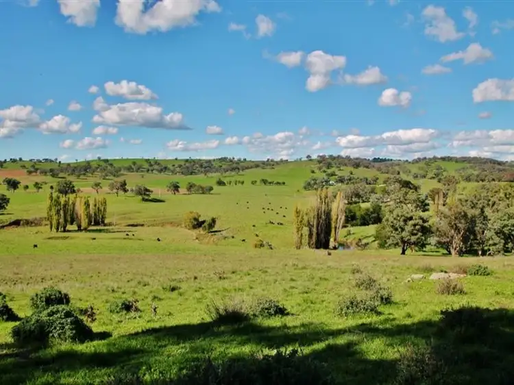Seventh view of Homely land listing, 132 Dowling Drive Murringo, via, Young NSW 2594