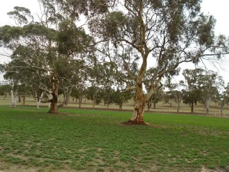 Second view of Homely rural property listing, 258 Beamma Parsons Road, Padthaway SA 5271