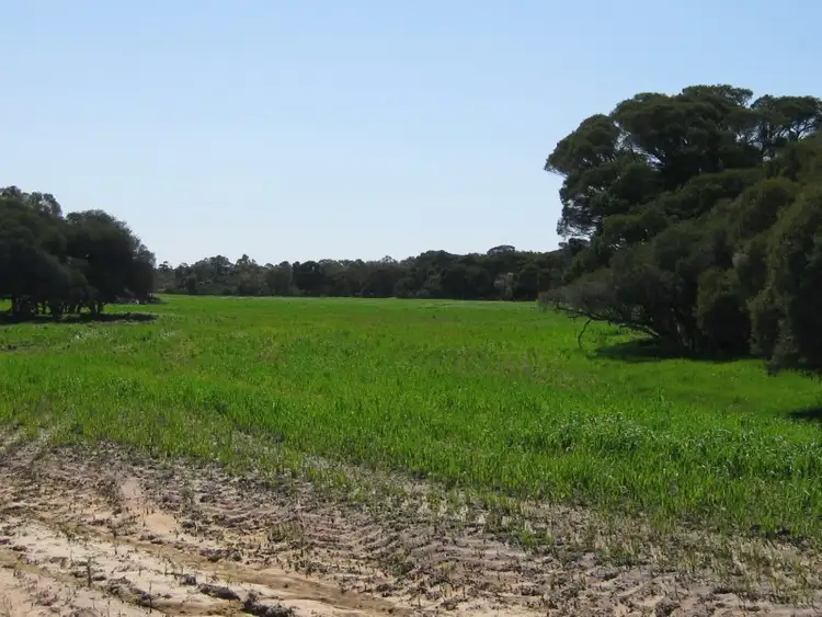 Second view of Homely rural property listing, Lot 152 pickles Road, Narrikup WA 6326