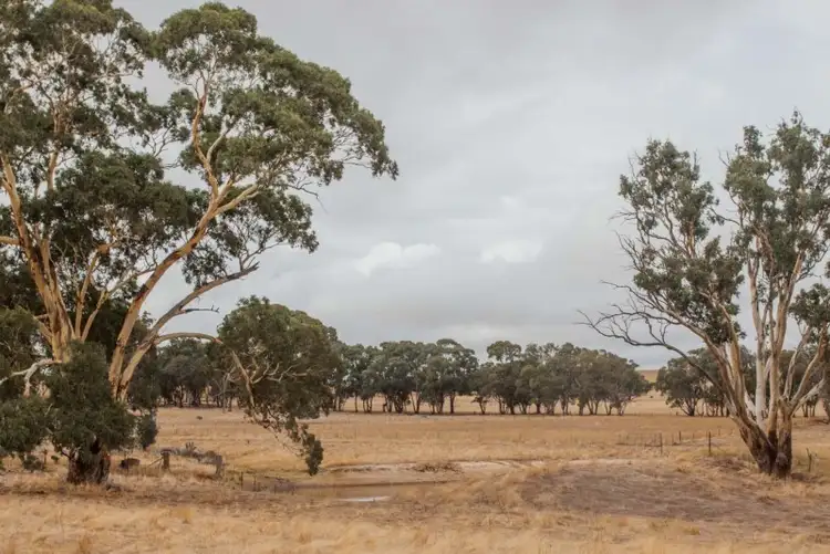 Sixth view of Homely rural property listing, 178 Alloway Road, Boorowa NSW 2586