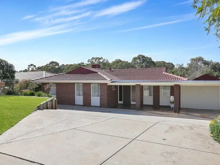 Main view of Homely house listing, 11 Finch Court, Modbury Heights SA 5092