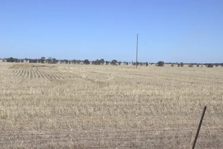 Fourth view of Homely rural property listing, .COOMA LEA CALADONIA Road, Baradine NSW 2396