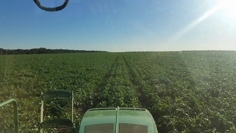 Main view of Homely rural property listing, Address available on request