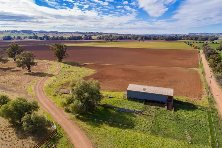 Seventh view of Homely rural property listing, 166 Settlement Bridge Road, Canowindra NSW 2804