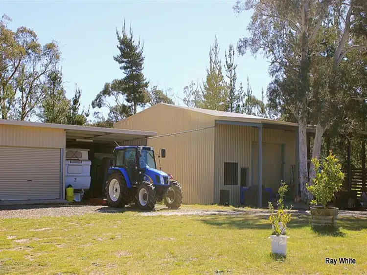 Sixth view of Homely rural property listing, 7778 Kings Highway, Braidwood NSW 2622