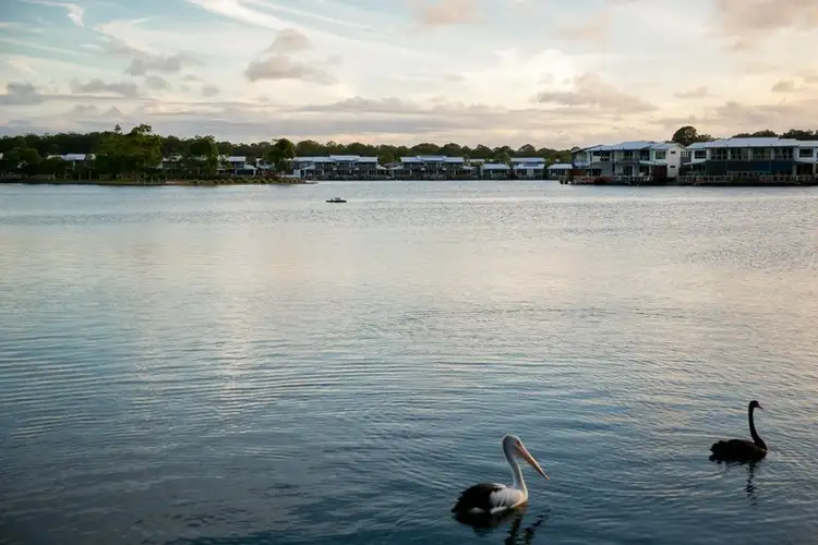 Second view of Homely house listing, 24/1 Manacor Place, Coombabah QLD 4216