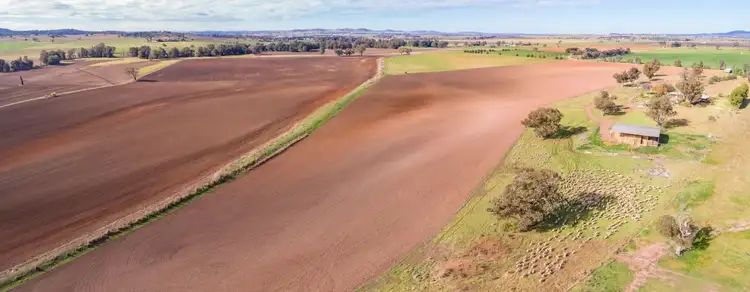 Sixth view of Homely rural property listing, 166 Settlement Bridge Road, Canowindra NSW 2804