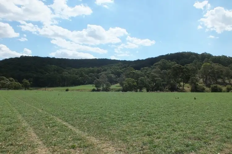 Fourth view of Homely rural property listing, Lot 1 189 Norman Lea Road, Hampton NSW 2790
