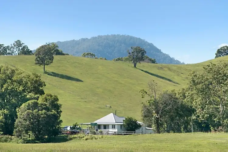 603 Numinbah Road, Crystal Creek NSW 2484