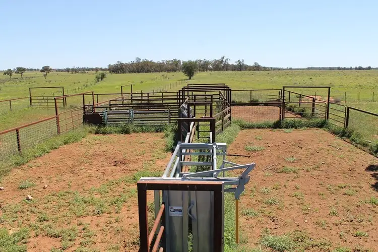 Second view of Homely rural property listing, 0 LAPGATE Road, Westmar QLD 4422