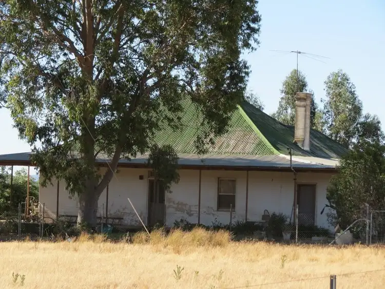 Third view of Homely rural property listing, 6410 Burley Griffin Way, Temora NSW 2666