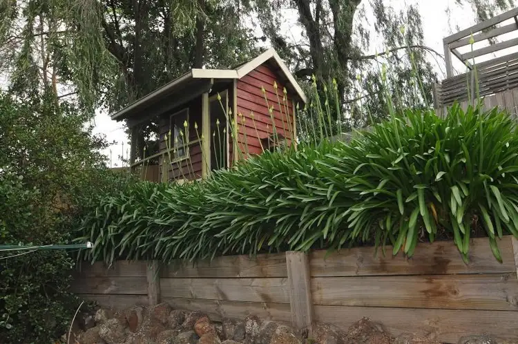 Fifth view of Homely house listing, 41 Karingal Drive, Frankston VIC 3199