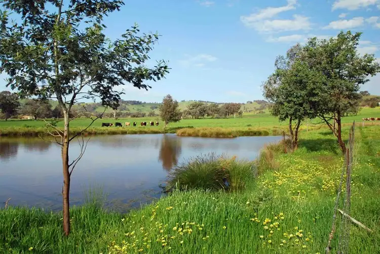 60 Mares Flat Road, Indigo Valley VIC 3688
