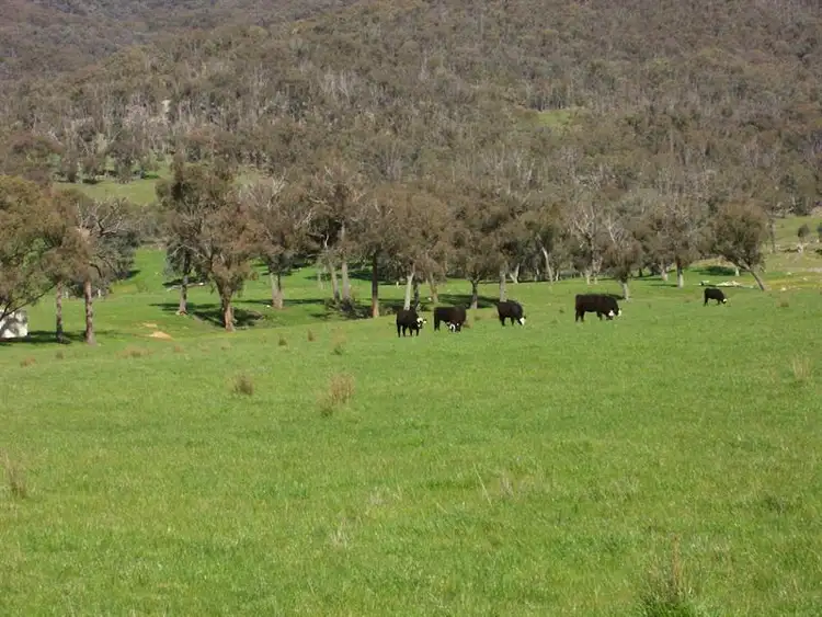 Fifth view of Homely rural property listing, 1586 (Lot 9) Kiewa Valley Highway, Kiewa VIC 3691