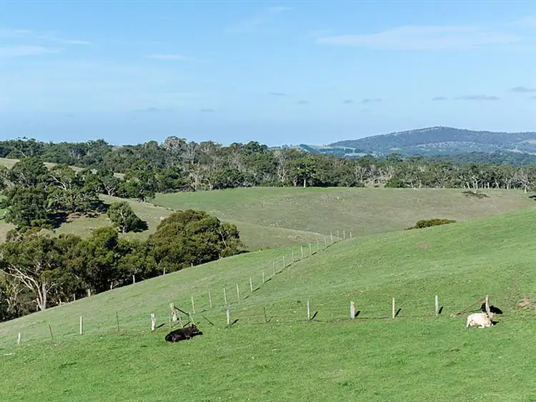 Fifth view of Homely rural property listing, Lot 25 Totness Road, Hahndorf SA 5245