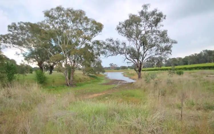 Seventh view of Homely land listing, 189 Jasprizza Lane, Young NSW 2594