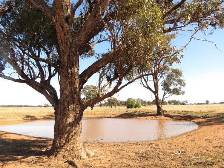 Third view of Homely rural property listing, 581 Slingers Lane, Temora NSW 2666