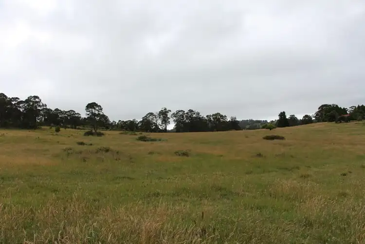 Third view of Homely rural property listing, 1764 "Westwood" Guyra Road, Wongwibinda NSW 2350