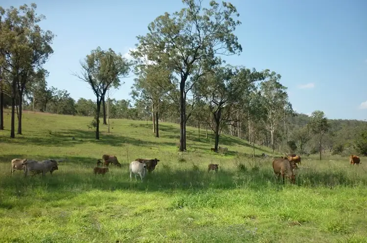Second view of Homely rural property listing, "Allhills" 1 Nearum Road, Gin Gin QLD 4671