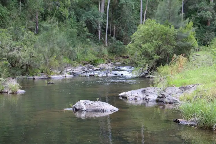 Sixth view of Homely rural property listing, 2007 Running Creek Road, Running Creek QLD 4287